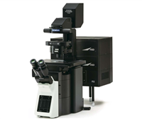 奧林巴斯激光掃描共聚焦顯微鏡FV3000