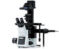奧林巴斯倒置顯微鏡IXplore Standard