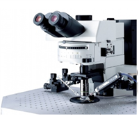 奧林巴斯電生理學(xué)顯微鏡BX61WI/BX51WI