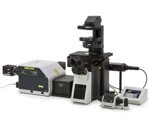 奧林巴斯倒置顯微鏡